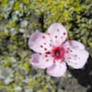 Meet your Posher, Nina